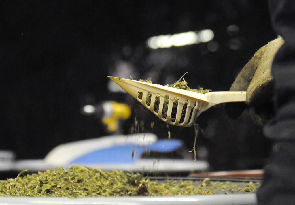 DeeGee Rivers sifts out hemp leaves from the flowers on Monday
